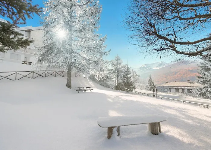 I 2 Pini - Happy Daire *