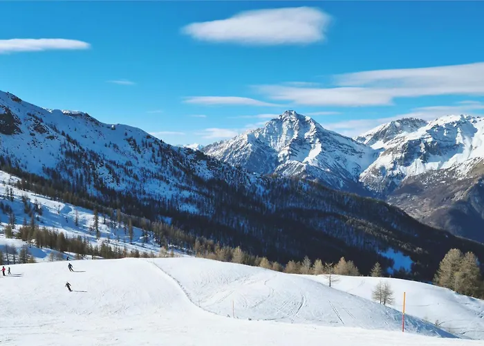 I 2 Pini - Happy Daire *